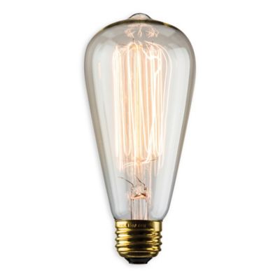 Luminance Nostalgia Reprod 60-Watt S21 Amber Vintage Light Bulb - Bed Bath & Beyond